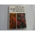 PICTURA ROMANEASCA IN IMAGINI - VASILE DRAGUT, VASILE FLOREA, DAN GRIGORESCU, MARIN MIHALACHE PICTURA ROMANEASCA IN IMAGINI - VASILE DRAGUT, VASILE FLOREA, DAN GRIGORESCU, MARIN MIHALACHE
